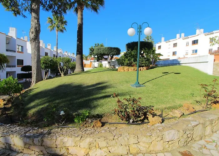 Oliveiras 阿尔布费拉